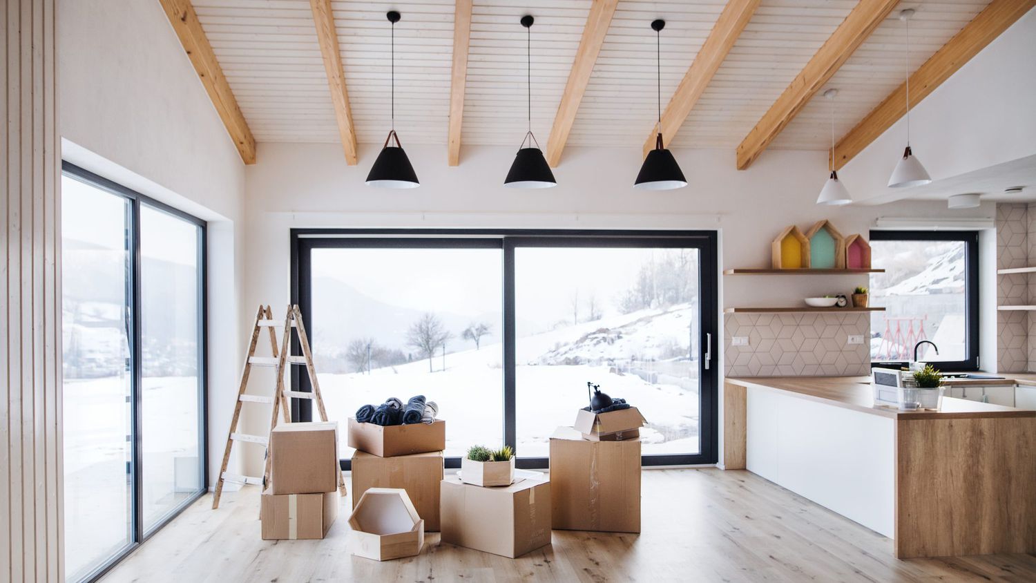 Move In/Out Cleaning